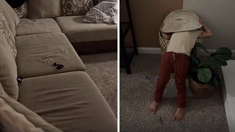 This Boy Is An "Expert' When It Comes To Hide N' Seek Game
