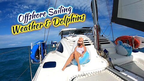 SDA78 Offshore Sailing ~ Weather & Dolphins