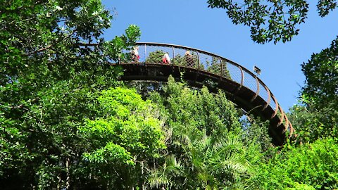 SOUTH AFRICA - Cape Town - Kirstenbosch National Botanical Garden (Video) (XnP)