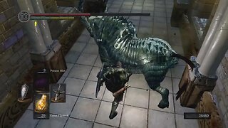 Fang Boars - Dark Souls: Remastered