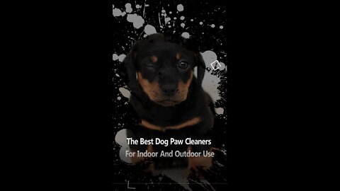 The Best Dog Paw Cleaners For Indoor And Outdoor Use