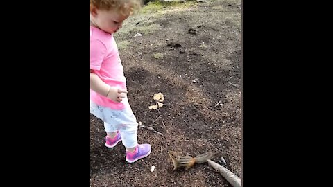 watch cute baby having fun with animals
