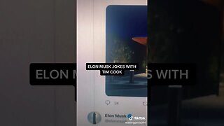 Elon Musk Is A TROLL tiktok dannygarcia344