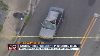 Teenager killed after being hit by car near Tampa Christian Academy