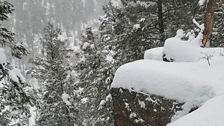 Enjoying That Global Warming, Snowing In Southern Colorado