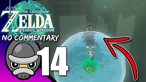 Part 14 // [No Commentary] Zelda: Tears of the Kingdom - Switch Gameplay