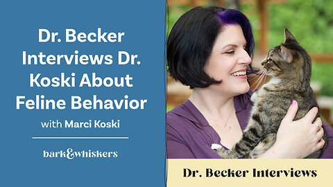 Dr. Becker Interviews Dr. Koski About Feline Behavior