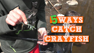 S2:E12 5 Ways to Catch a Crayfish | Kids Outdoors