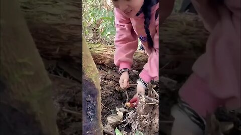 Pretty Countryside Chinese Girl Digs Up Some Raw Ginger