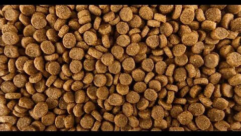 Deadly Toxin Found in Popular Dog Food Brand - How to Keep Your Pet Safe