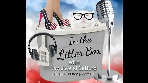 Fetterman Debate Disaster - In the Litter Box w/ Jewels & Catturd 10/26/2022 - Ep. 197