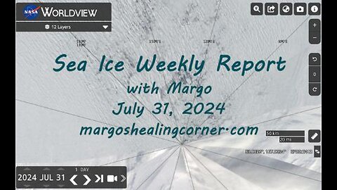 Sea Ice Weekly Report with Margo (July 31, 2024)