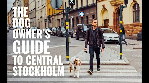 The dog owner's GUIDE to Stockholm