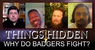 THINGS HIDDEN 196: Why Do Badgers Fight?