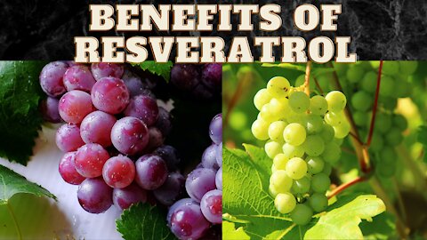 5 Potential Health Benefits of Resveratrol