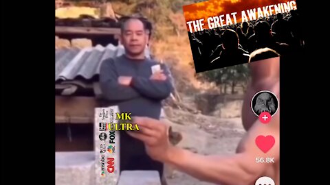 The Great Awakening VS MK Ultra