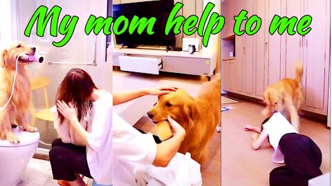 Mom! i can't live without you || Amazing dog help to her anytime loving video.