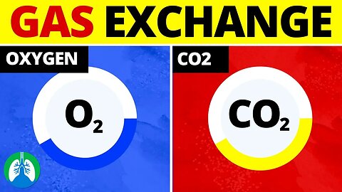 Gas Exchange (Medical Definition) | Quick Explainer Video