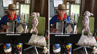Musical Pup Dances Along To Grandma's Accordion