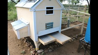 Chicken Coop POOP clean out door