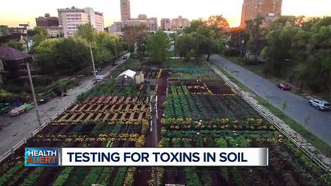 Testing for toxins in soil