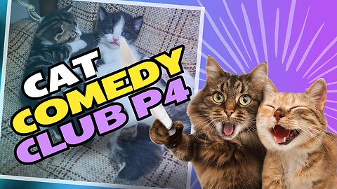 Cat Comedy Club - Part 4