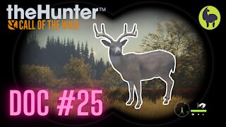 The Hunter: Call of the Wild, Doc #25