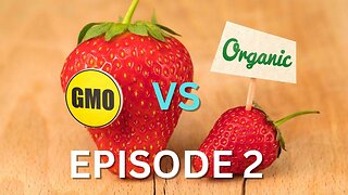 GMOS revealed episode 2