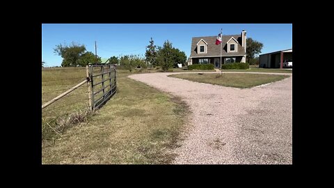 Cutting Paths In Horse Pasture - Horses Finding Food With Wind - Other Morning Walk Topics