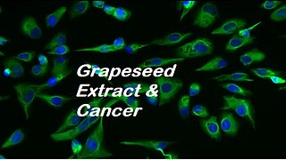 Grape Seed Extract Kills Cancer Cells