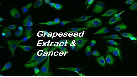 Grape Seed Extract Kills Cancer Cells