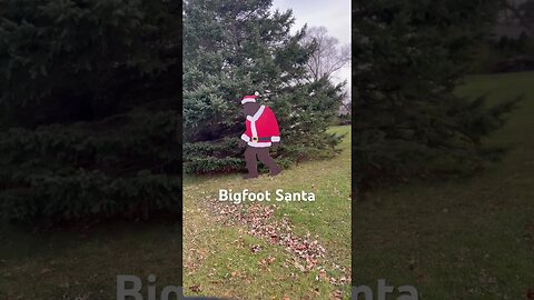 Bigfoot #bigfoot #short #bigfootsanta