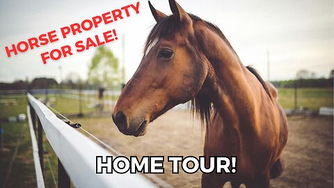 Breaking🔥: Horse Property For Sale!