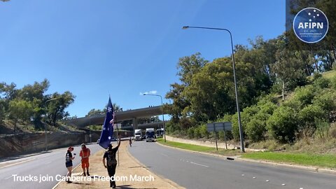 Trucks joining the Protest at Parliament today.