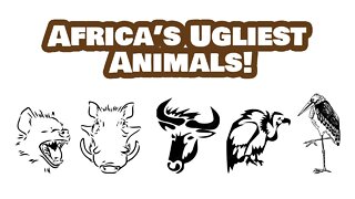 Africa's Ugliest Animals: What Are They?
