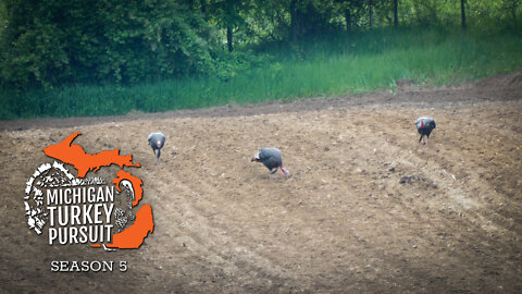 MTP S5.E7 Michigan Late Season Turkey Hunt