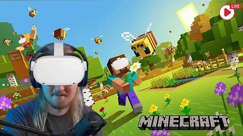 I found out how to play Minecraft in VR