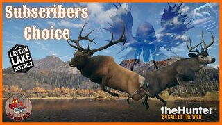 LAYTON - Diamond & Rare Hunting - Subscribers Choice - theHunter: Call of the Wild