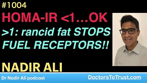 NADIR ALI 4 | HOMA-IR less than 1…OK But, greater than 1: rancid fat STOPS FUEL RECEPTORS!!