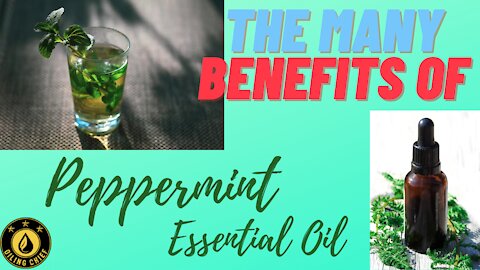 The Many Benefits of Peppermint Essential Oil