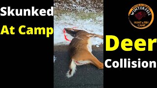 Lad From The Woods - Deer Collision But Still Skunked At Camp