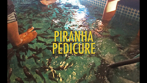 How Would You Like A Piranha Pedicure?