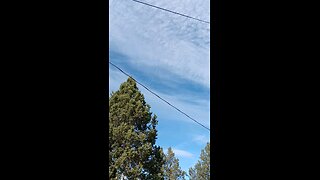Large airplane with chemtrail