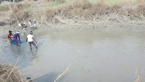 Amazing hand fishing in pond by talented fishermen