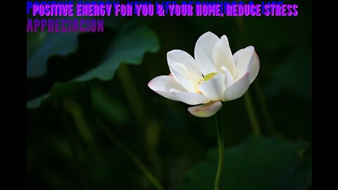 Positive Energy for you and Your Home | Reduce Stress | Relax Music