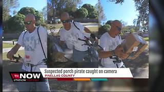 Pinellas Park porch pirate caught on camera stealing Christmas gifts