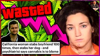 Woman STABS Her Boyfriend & Dog Over 100 Times! Blames a Psychotic Episode From Smoking Pot!