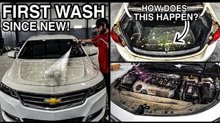 Cleaning The SMELLIEST Car Ever! | First Wash Since New | Smoker's Car Detailing Transformation!