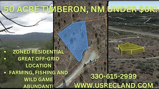 .50 ACRE TIMBERON, NM UNDER $6K! GREAT VIEWS ON THIS RESIDENTIAL LOT WITH OFF-GRID POSSIBILITIES!