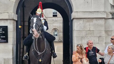 Horse freaking tourist #horseguardsparade